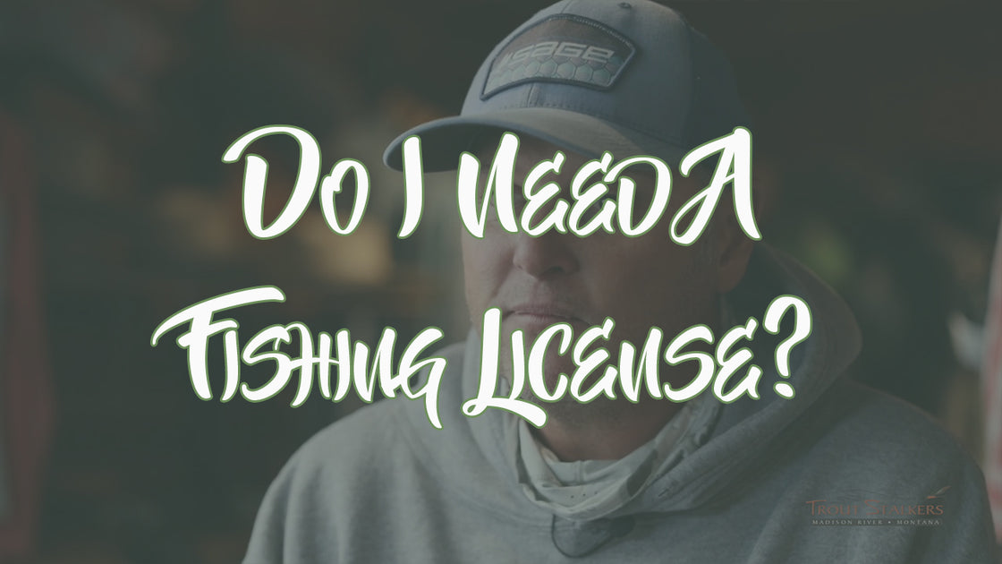 Do I Need A Fishing License? Trout Stalkers Fly Shop