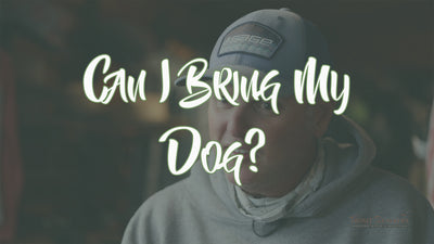 Can I Bring My Dog?