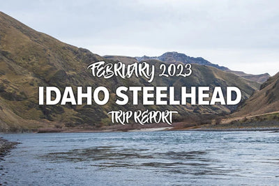Idaho Steelhead Trip Report