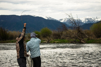 TROUT DREAMS