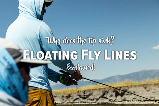 Why is the Tip of my Floating Fly Line Sinking? – Trout Stalkers Fly Shop
