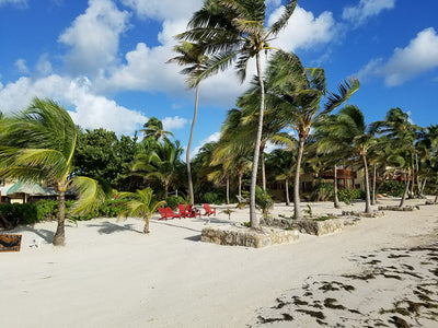 BELIZE NAVIDAD - A FLY FISHING CHRISTMAS